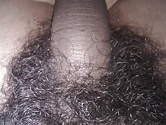 Showing very big hairy dick video
