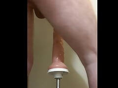 Anal lover King cock 13 power driven