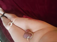 Old Slave Training