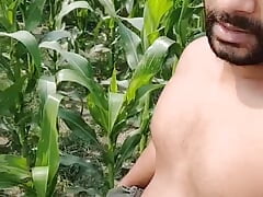 Gay sex video