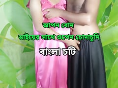 Sundari Young StepSister Gets Pregnant By StepBrother Sex - Bengali Romantic Audio